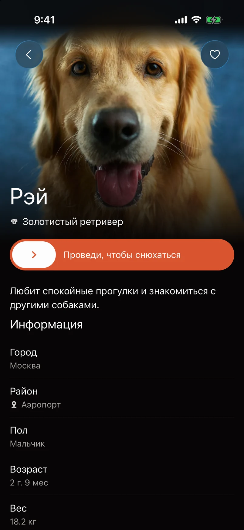 Посмотрите профиль и сохраните понравившуюся пару в избранное.