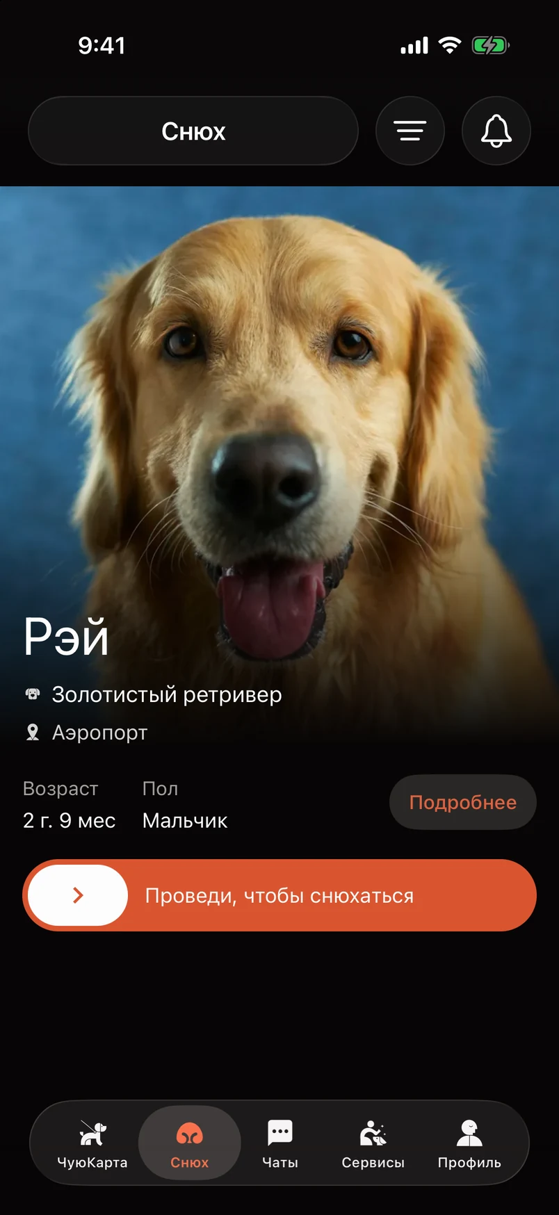 Фото, порода, возраст и район в карточке собаки.